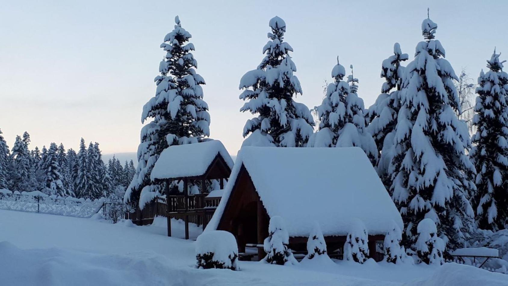 Pokoje Apartamenty Pod Limba Закопане Экстерьер фото